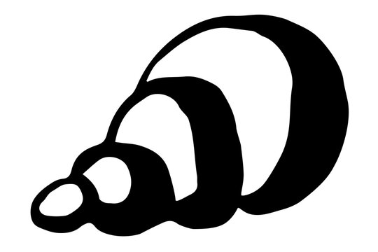 recommend clip art: Sea shell hand painted with brush stroke. Png clipart isolated on transparent background