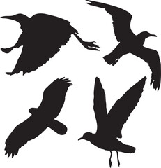 Flying bird silhouettes, Bird Flying Silhouette