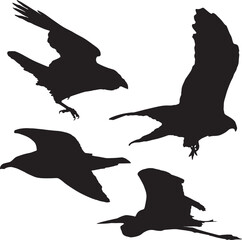 Vector silhouette flying birds on white background