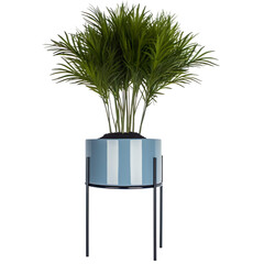 modern house plant with blue  pot on a transparent background, Generative Ai