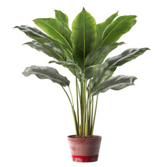 modern house plant with redpot on a transparent background, Generative Ai