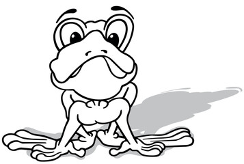 Drawing of a startled frog from Front View