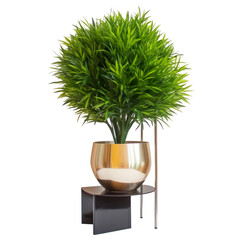 modern house plant with gold pot on a transparent background, Generative Ai