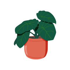 Plant vector illustration. Realistic indoor house plant in hand made pot. Exotic flower stems, leaves.