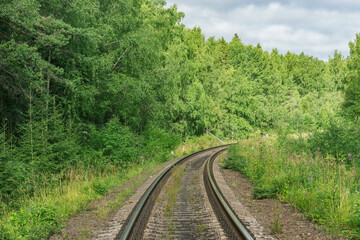 Obraz premium Railway track in the summer forest.