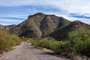 road to the mountains