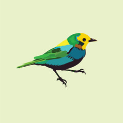Fototapeta na wymiar Cute multicolor small bird illustration