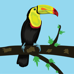 toucan on a branch