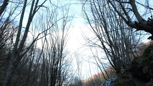 Sunset in the forest,waterfall ( Jezerc,Kosova)