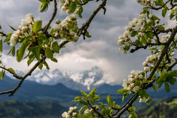 Spring landscape with sun and blue heaven
