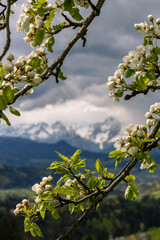 Spring landscape with sun and blue heaven