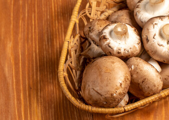 mushrooms in a basket