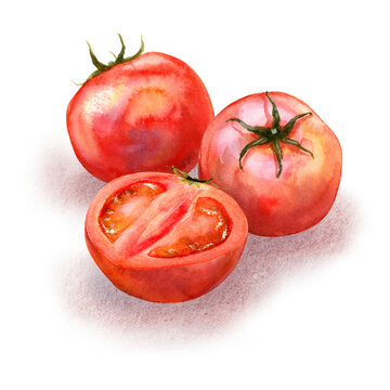 An image of tomatoes digitally generated from a watercolor painting