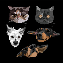 animal pet cat and dog logo vector illustration
