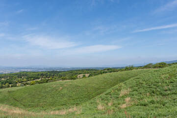 Naklejka premium のどかな平原の景色