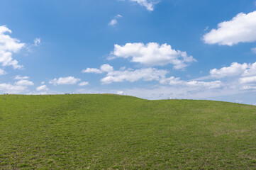 のどかな平原の景色