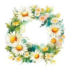 Watercolor wreath of daisies. Chamomile flowers. Painted drawing chamomilies flowers pattern.  Floral wreath. Colorful beautiful round flowery ornament on white background. Isolated artistic design