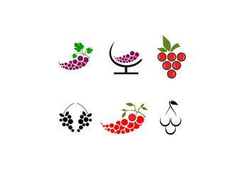 wine Icon set. Grapevine with leaves. Wine logo. Fruit pictogram. Isolated vector illustration