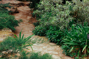 Stone paved pathway path among lush fresh green vegetation, grasses, leaves goes into a distance in a botanical garden, park, forest. Journey to nature into wild concept Plants growing in home orchard