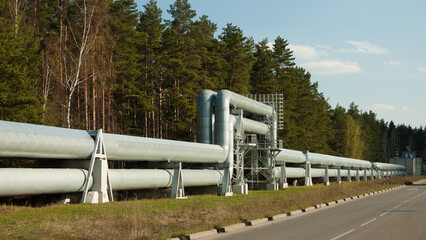 pipeline along the highway against the backdrop of the forest and blue sky - obrazy, fototapety, plakaty