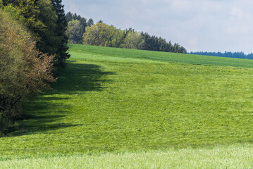 Wald und Wiese im Frühjahr bei Sonne