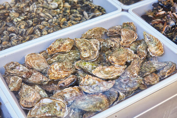 Mussels and seafood on trays with price tags on the street market in Italy