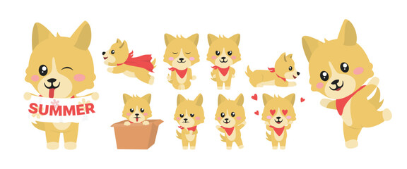 Summer Dog Character Set Vector Illustrations. Summer Dog Character Collections.