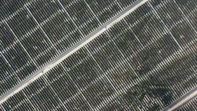 Karapınar Solar Power Project. Aerial 4k