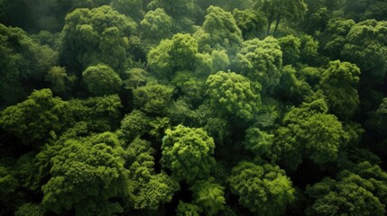 Naklejka premium Aerial view of a lush, green forest with a detailed canopy, generative ai