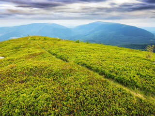 hiking trail through green hillside. vast green meadows in mountainous landscape. outdoor summer vacations