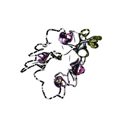 Orchid flower color sketch with a transparent background