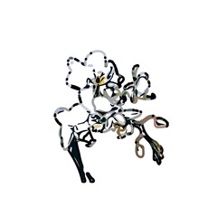 Orchid flower color sketch with a transparent background