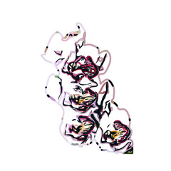 Orchid flower color sketch with a transparent background