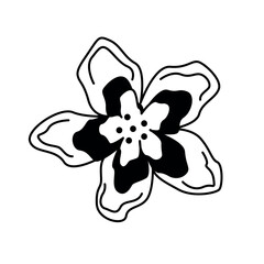 flower, black and white flower illustration. flower icon
