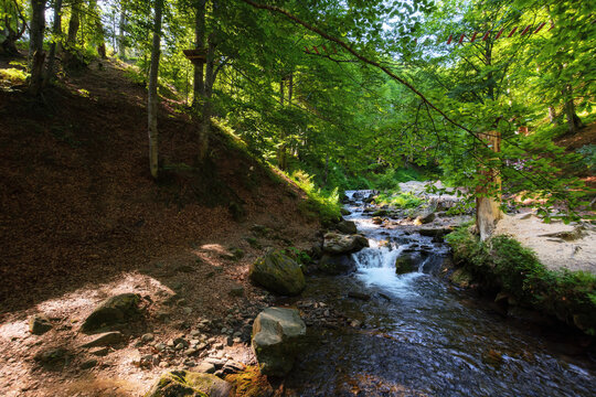 creek in the woods. nature wallpaper with cascades. warm summer morning