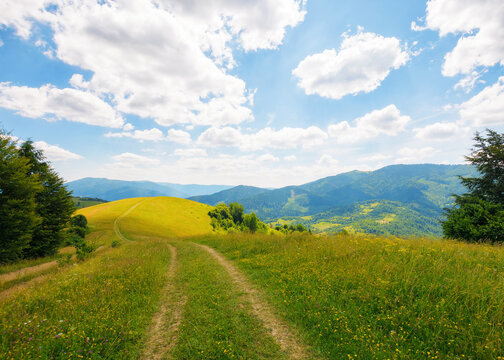 trail through rural fields and meadows on the hills. carpathian countryside in summer with mountain range in the distance. sunny afternoon weather