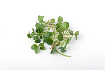 The concept of a healthy lifestyle and diet, eco-product. Groups of various microgreens sprouts on a white background, isolate.
