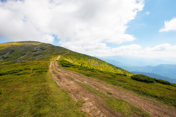 Naklejka na ściany i meble trail through the hills and meadows. alpine scenery of ukrainian carpathians. popular travel destination to the petros mountain in summer