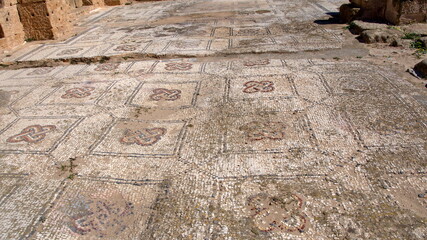 Mosaic in the Roman ruins in Uthina, outside of Tunis, Tunisia