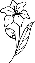 Black Flower Outline