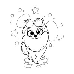 Coloring page. Cartoon funny dog, pomeranian spitz with glasess