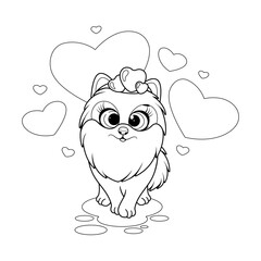 Coloring page. Cartoon cute dog, pomeranian spitz with hearts