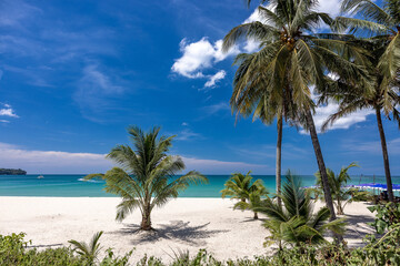Coconut trees, palm trees, a dream beach, a turquoise sea, fine sand, sun, happiness on vacation.