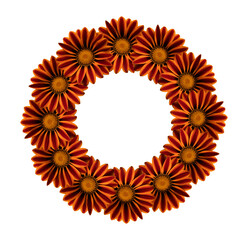 Flower arrangement of a round shape. Orange and red  flowers isolated on white background. Wedding design element. Festive flower arrangement.  Border of flowers. Frame flowers. Copy space.