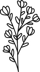 Flower drawing