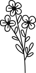 Flower drawing