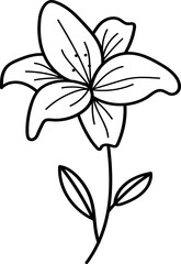 Flower Sketch