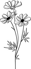 Hand draw flowers