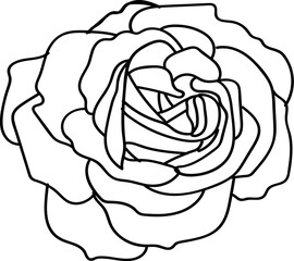 Hand Drawn Flower