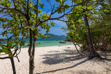 Ko Bon, a small island south of Phuket, not well known and not too busy. Azure sky and turquoise sea, a real little paradise. Trees of the beach.